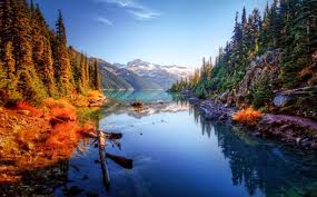 canada thérapie visioconsultation