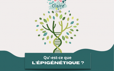 Qu’est-ce que l’épigénétique ? L’héritage biologique