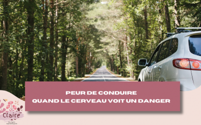 Peur de conduire: quand le cerveau voit un danger